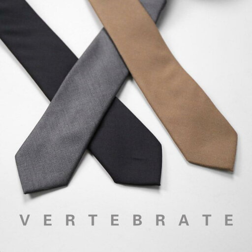 ネクタイ 紳士服 Necktie ビジネス スーツ用 首周り 装飾 メンズ ナロー ネクタイ シンプル ブラウン スモール ネクタイ ネクタイ 紳士服 Necktie ビジネス スーツ用 首周り 装飾 メンズ ナロー ネクタイ シンプル ブラウン スモール ネクタイ