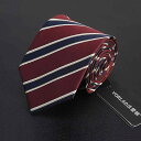 ネクタイ 紳士服 Necktie ビジネス スーツ用 首周り 装飾 メンズ フォーマル ウェア ビジネス カジュアル メンズ ジッパー タイプ