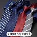 ネクタイ 紳士服 Necktie ビジネス スーツ用 首周り 装飾 ワイド バージョン 9 cm メンズ ビジネス スーツ ネクタイ