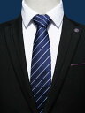 ネクタイ 紳士服 Necktie ビジネス スーツ用 首周り 装飾 メンズ ジッパー ネクタイ メンズ ストライプ ビジネス フォーマル ドレス