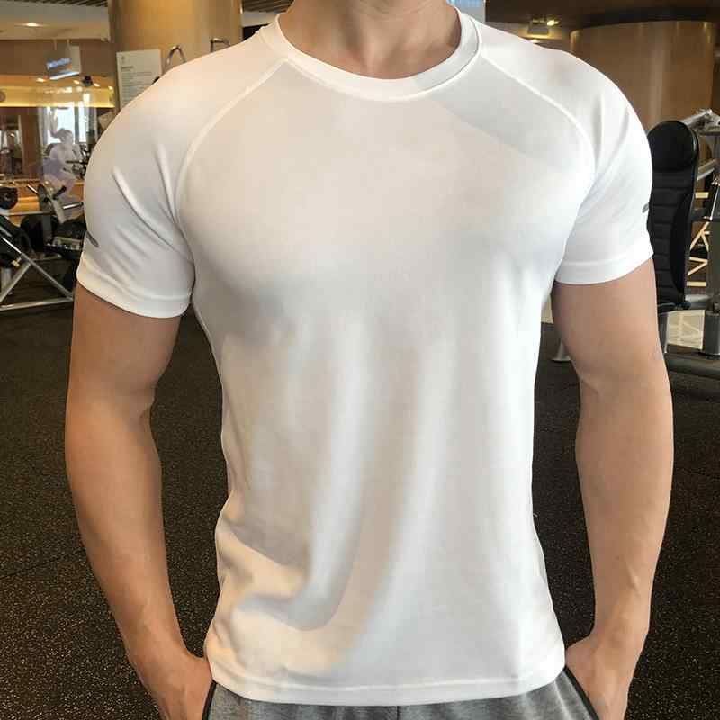 եåȥͥ   ư ˤΥݡ   ݡ ˥ ȥ졼˥󥰥 ۴  ® Ⱦ...