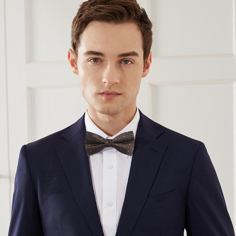 蝶ネクタイ メンズ ブラウン ポリエ