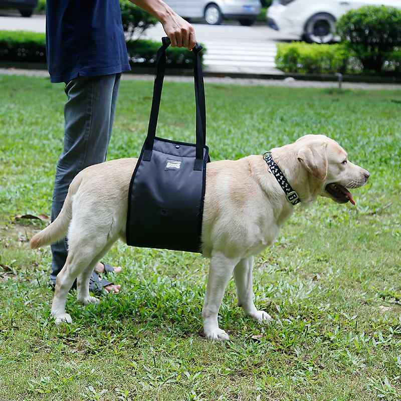 犬 歩行補助 ハーネス ベルト ペット用品 老犬 介護 リハビリ 散歩 シンプル 黒 水色 通気性 大型犬 中型犬(4)
