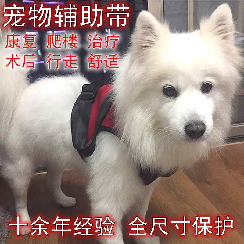   ϡͥ ٥ ڥå Ϸ  ϥӥ  ץ     ҥ祦