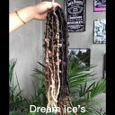 ポイント ウイッグ レディース ドレッド ヘアエクステ ポニーテールツインテール アクセサリー 簡単 黒 茶 シンプル おしゃれ