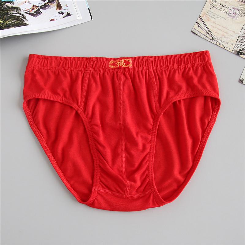 下着 メンズ 5枚組 綿 三角ブリーフ ミドルウエスト 赤 快適 無地 シンプル 普段使い 通気性 肌着