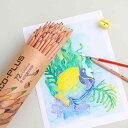 色鉛筆 塗り絵 大人の塗り絵 スケッチ イラスト 文房具 ぬり絵 プレゼント ギフト お絵かき 入学 入学準備 新学期 24色 36色 48色 鉛筆削り付き 絵...