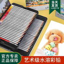 色鉛筆 塗り絵 大人の塗り絵 スケッチ イラスト 文房具 ぬり絵 プレゼント ギフト お絵かき 入学 入学準備 新学期 水溶性 カラーリード 48色 72色 3...
