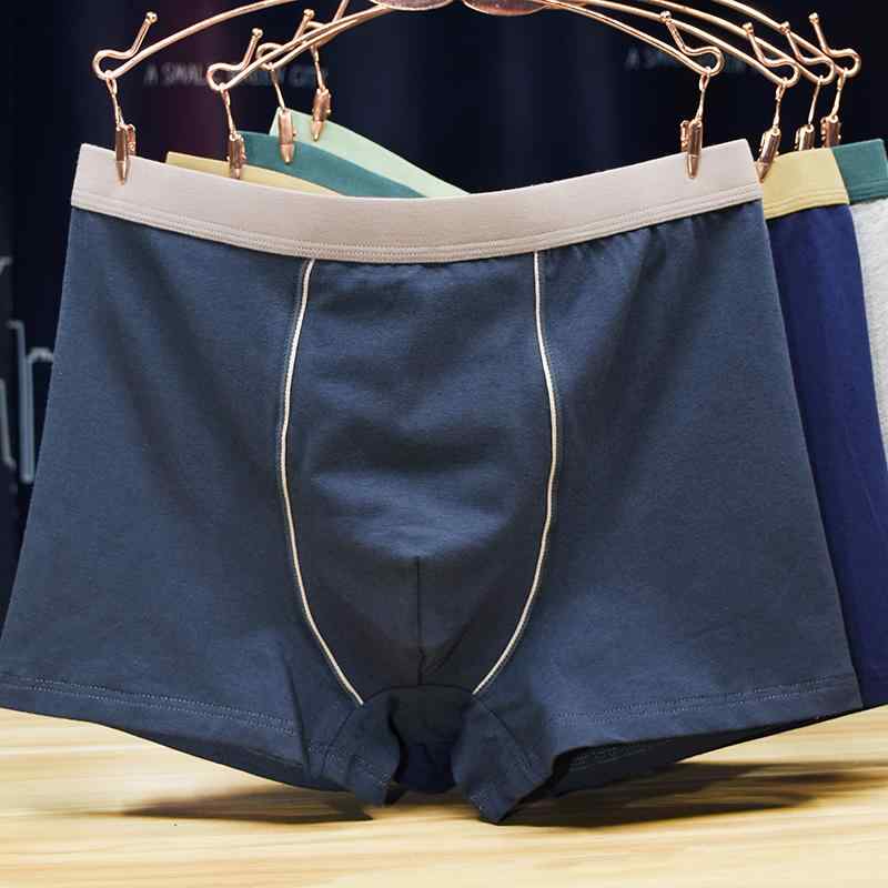 ܥѥ   硼 ̵ 礭   ֥å 졼 ͥӡ 