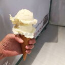 食品サンプル リアル アイスクリーム ボール 多層 硬質 スイーツ フェイクフード ディスプレイ インテリア 置物 店舗装飾 喫茶店 カフェ 見本 模型