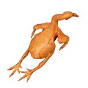 食品サンプル リアル ローストチキン 蒸し鶏 塩釜焼きチキン 丸鶏 焼き鴨 チキン 精巧 フェイクフード 店舗ディスプレイ 写真撮影 撮影小物 展示用 オブジェ