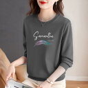 Tシャツ 半袖 レディース 綿 ソフト シンプル ゆったり ローズ 刺繍 ラウンドネック Vネック 普段着 お出かけ