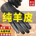 手袋 メンズ レザー プレゼント おしゃれ 革 厚手 乗馬 バイク レディース ドライビング オートバイ 薄手 シープスキン 黒 裏起毛 暖かい 防寒 通勤