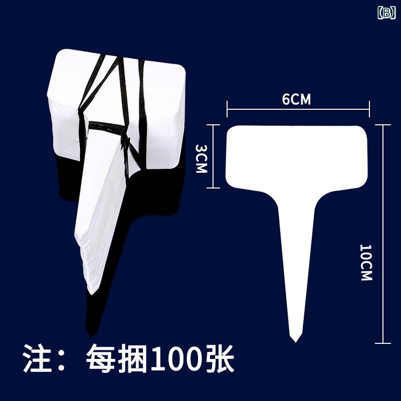 ��ݥ�٥� T�� PVC �ץ饹���å� �ɿ� ��ʪ���� ¿����ʪ �� �� �������߼� �����ǥ˥� �͡���ץ졼�� ���̻� �ѵ��� �ץ��ĥ���