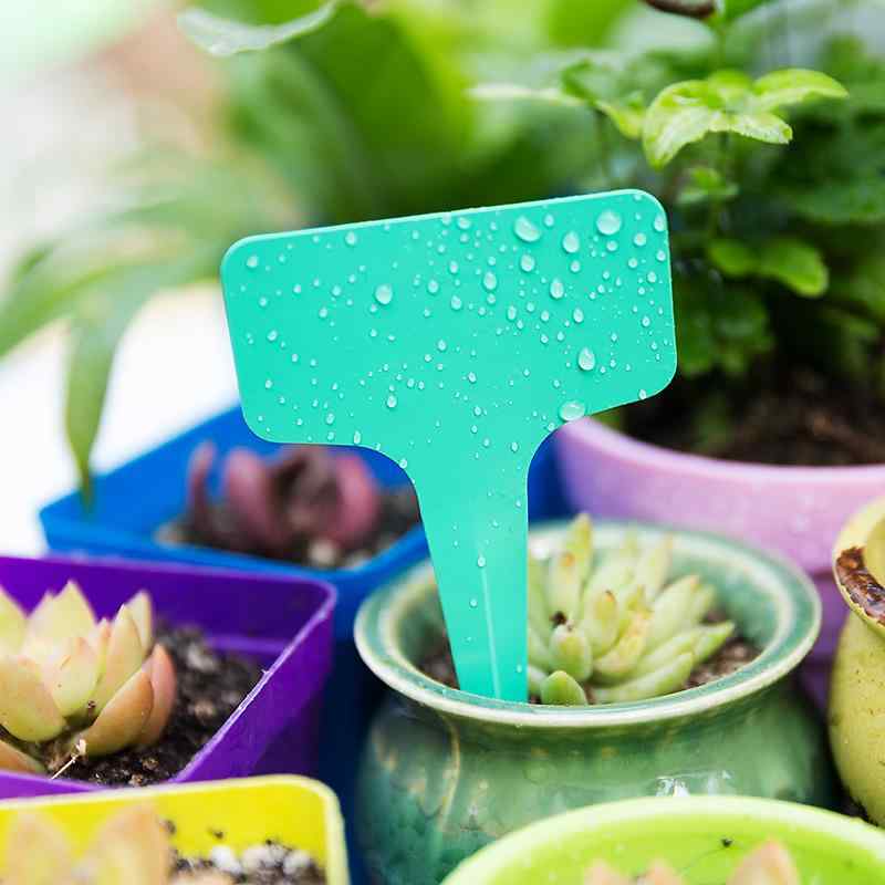 園芸ラベル プラスチック製 T型 植物タグ 防水 多肉植物 蘭 観葉植物 花卉 鉢植え用 ネームプレート ガ..