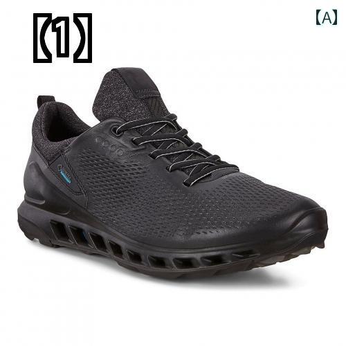 ե塼  ѥ쥹 ɿ ̵ ݡ 뼰   ץ ˡ  