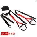 サスペンション トレーニング ベルト トレーニングロープ メンズ ホームエクササイズ レッグ トレーニング用品 筋トレ