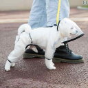 子犬の犬のレインコート 4 本 足の防水 オール インクルーシブ テディ ビション ペット 小型犬 中型 大型犬 雨 服 ポンチョ