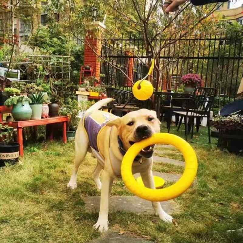 犬用おもちゃ ドッグトイ 大型犬 中型犬 小型犬 丈夫 耐久性 ゴム製 噛む 歯磨き デンタルケア ストレ..