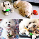 犬用おもちゃ 鳴き笛 丈夫 デンタルケア 噛むおもちゃ ぬいぐるみ ストレス解消 運動不足解消 歯磨き 歯固め 子犬 小型犬 大型犬 全犬種 アニマル型
