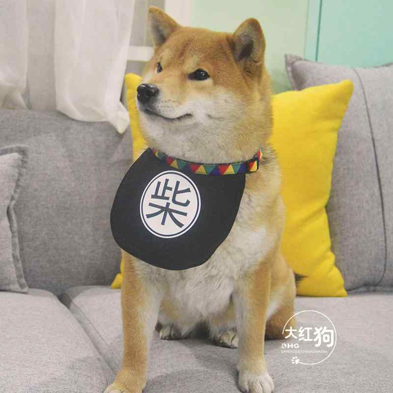 ペット用バンダナ 犬 猫 柴犬用 かわいい 和風 おしゃれ 首輪アクセサリー 三角巾 ...
