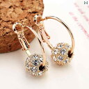 ピアス ジュエリー アクササリー 装飾 サークル ビッグ ピアス レディース