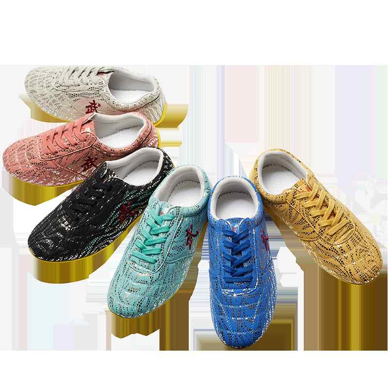 武術靴 子供 メンズ レディース 春夏 きんちゃく底 太極 練習 柔らかい 履きやすい トレーニング シュ..