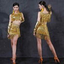 ダンス衣装 セットアップ 大人 レディース トップス スカート フリンジ スパンコール ラテン ベリー パフォーマンス ステージ セクシー おしゃれ シルバー ...