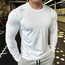 スポーツウェア メンズ 秋冬 トップス 長袖 Tシャツ インナー 大きいサイズ 伸縮性 速乾 吸汗 通気 ランニング トレーニング サイクリング アウトドア ス...