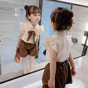 かぼちゃパンツ ベビー 赤ちゃん 女の子 男の子 かわいい カジュアル 上下セット トップス ボトムス 夏 綿 フリル リボン 韓国 薄手 レトロ 半袖 ノース...