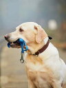 犬 首輪 おしゃれ ペット 牛革 リード 大きいサイズ ベルト ピン バックル シンプル 散歩 コーギー リング フック 茶 丈夫 光沢 レジャー