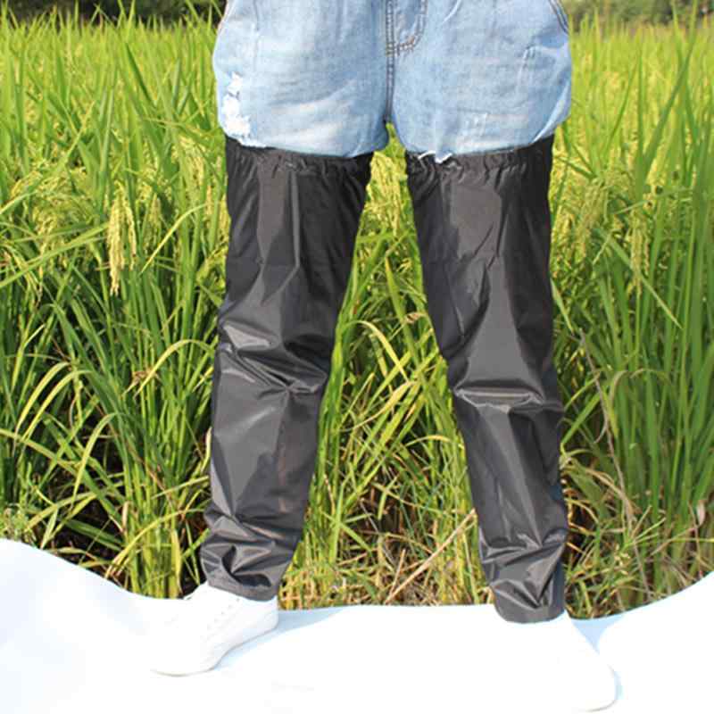 å   ɿ եåȥС  ˽ å 塼 Ҷ ץ  ץ  ݽ ž ̥ե...