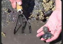 ガーデニング スコップ 家庭菜園 植え付け ツール 小さめ シンプル ロング ショート 耐久性 滑り止め セット 熊手 防水 防錆 耐食性 潮干狩り