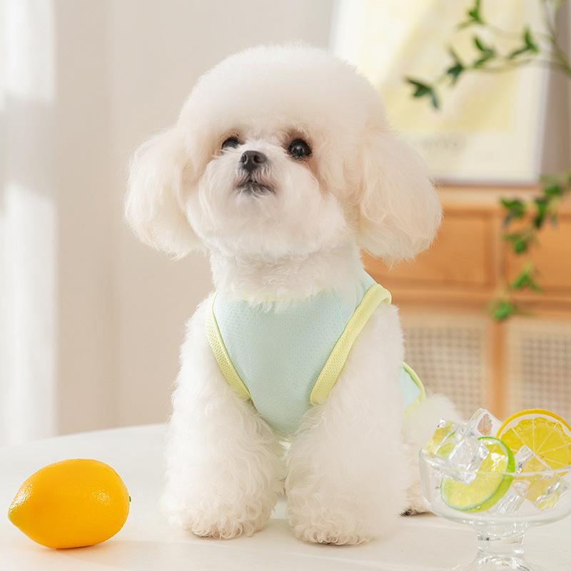    ȥɥ ̵ Ƥɻ Ҥ 䴶 餫 ѻ  ڥå µʤ Ρ꡼ 쥸㡼 奢 ...