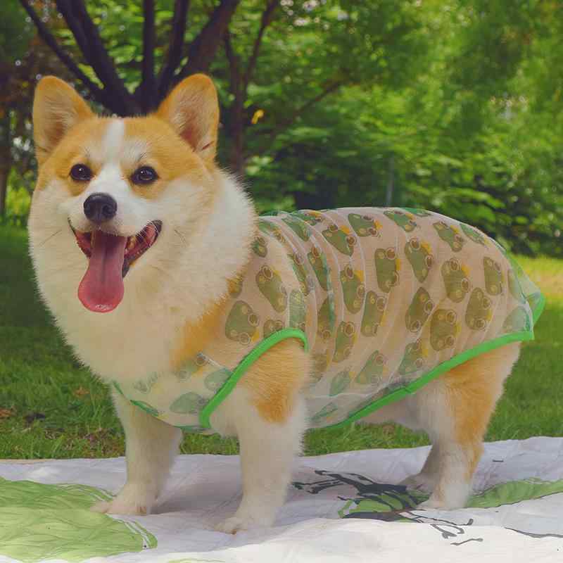     å ̵ ä  ڥå  æ ɻ 襤 淿  奢 쥸㡼 礭 ...