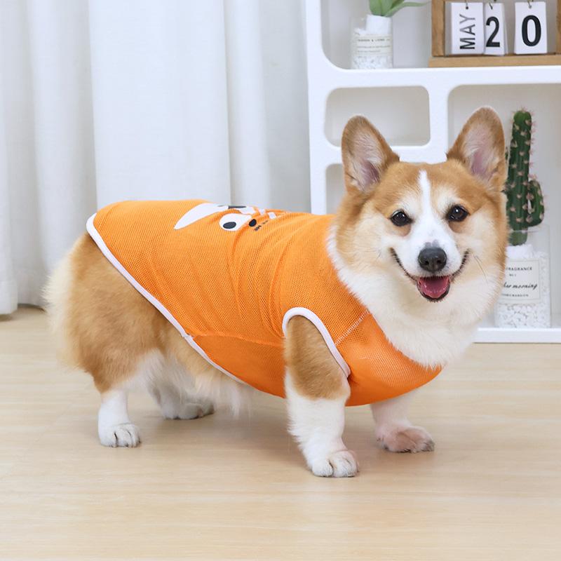   ڥå å 餫  ̵  ȴ  ɻ  淿 奢 쥸㡼 ȥɥ 襤 ...