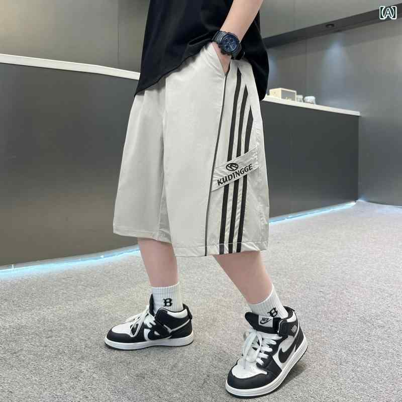 ϡեѥ ˤλ å  Ⱦܥ   ݡ 奢 ̵ ץ ȥ꡼  ä Ŭ