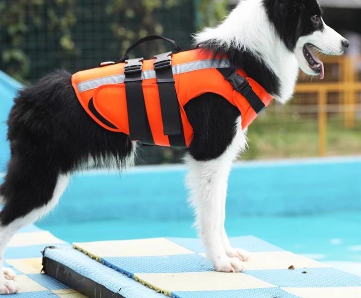 ライフジャケット 犬用 浮き輪 ペット用品 面ファスナー バックル 長さ調節 持ち手 リード取付可 水遊び 夜間反射 ビーチ オックスフォード カジュアル 大きいサイズ オレンジ
