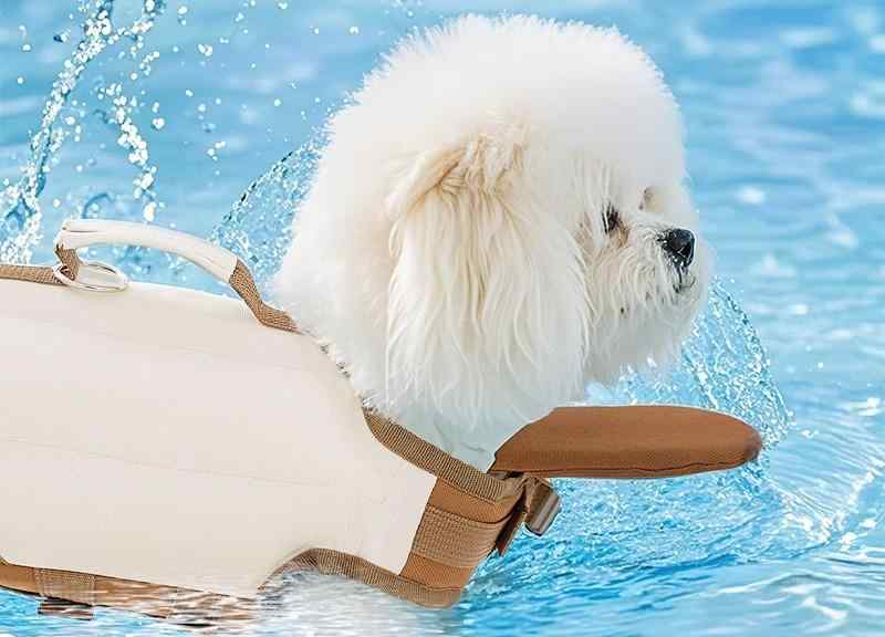 犬 ライフジャケット あごのせ 夏 ペット服 スイムウェア 軽量 高浮力 溺れ防止 ハンドル 小型 中型 大..