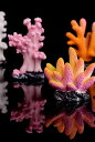 アクアリウム オブジェ 水槽 マイクロランドスケープ オーナメント 装飾品 内装 レイアウト インテリア 樹脂 鑑賞 熱帯魚 亀 小さめ ヒトデ サンゴ 赤 黄...