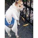 犬 サニタリー パンツ 生理 カバー ゴールデンレトリバー トイプードル 青 黒 うさぎ メス 通気性 メッシュ シンプル 散歩 フリル デニム キャンバス スカート おしゃれ ペット