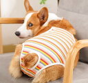 犬 サニタリー パンツ ペット 綿 通気性 コーギー 生理 カバー ピンク オレンジ カジュアル 柔らかい 快適 面ファスナー 簡単 便利 メッシュ カラフル おしゃれ おでかけ