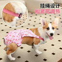 犬 サニタリー パンツ メス 生理 カバー ゴールデンレトリバー 大きめ ピンク 青 ハート 星 シンプル かわいい おでかけ メッシュ 通気性 快適 柔らかい 伸縮性