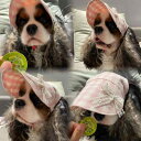 犬 日除け 帽子 暑さ 紫外線 熱中症 夏バテ 日射病 予防 対策 紐 つば 耳出し 通気性 眩しさ軽減 ドッグウェア キャップ ペット 猫 小型 かわいい ガ...