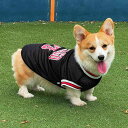 犬 夏服 メッシュ ペット 小型 中型 コーギー トイプードル 薄手 通気性 お出かけ時 日焼け対策 抜け毛防止 スポーツ カジュアル おしゃれ ベスト 大きい...