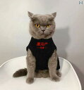 ペット服 猫 犬 夏 薄手 ベスト 通気性 抜け毛防止 大きいサイズ 小型 チワワ ビションフリーゼ コーギー 個性的 黒 緑 ピンク 漢字
