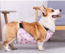 ペット服 犬 夏 オス メス お腹カバー 防水 腹部冷え防止 ウェア 小型 中型 コーギー トイプードル ポメラニアン シンプル かわいい 黄 ピンク アイス ...