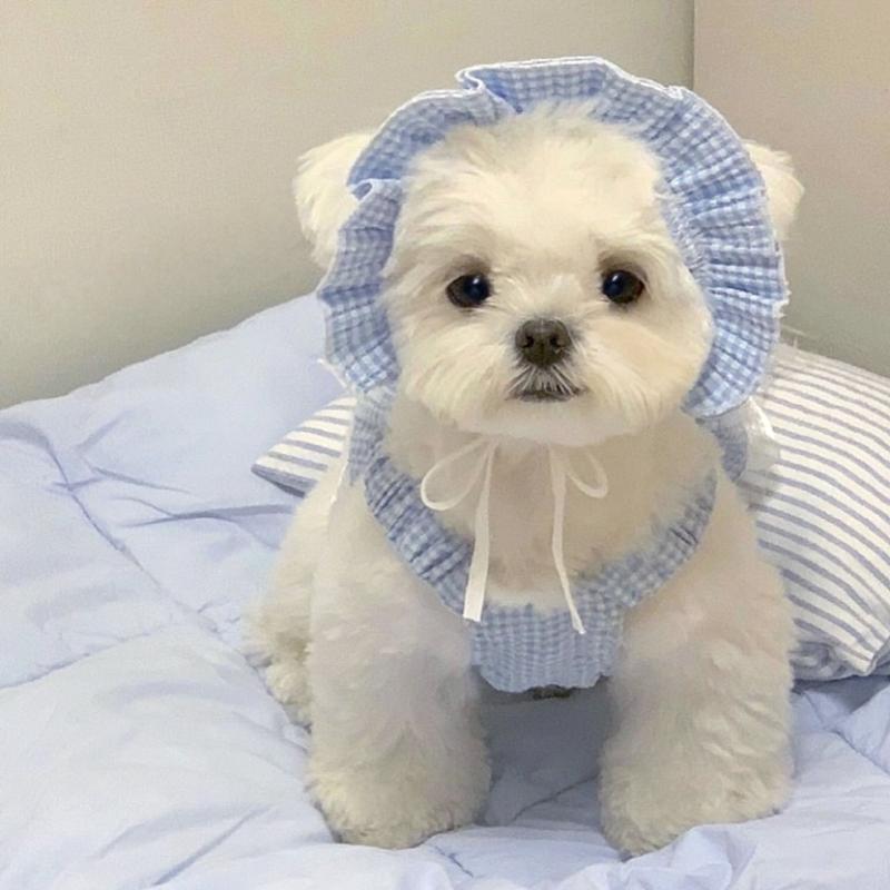 犬 服 女の子 かわいい 夏 薄手 フリル プリンセス リボン チェック 柄 スカート 猫 シーズー マルチー..