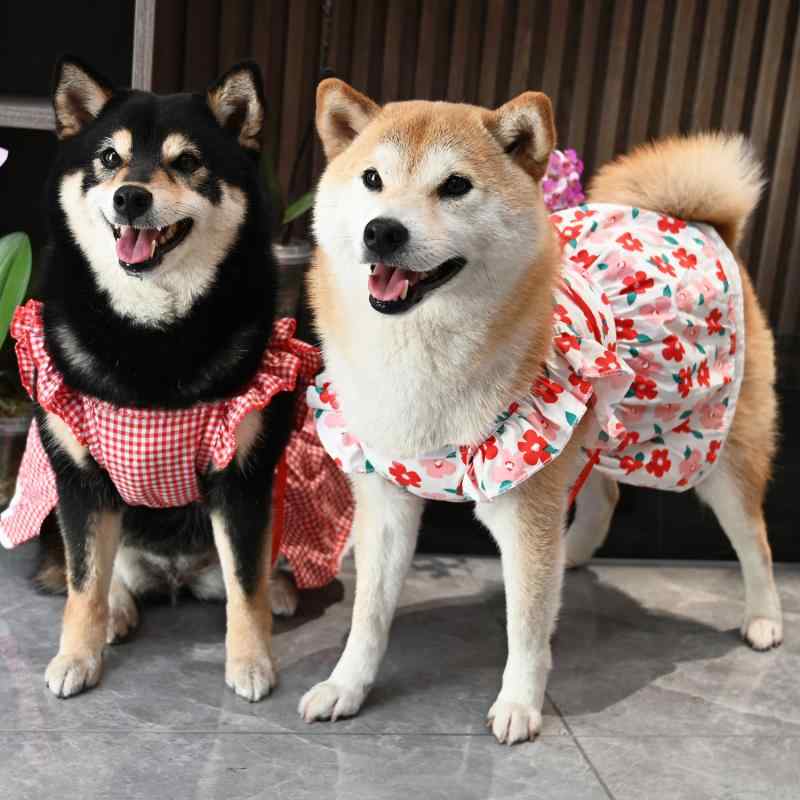 犬 服 女の子 かわいい ペット 猫 コーギー 柴 チェック 花柄 夏 涼しい フリル カジュアル 伸縮性 写..