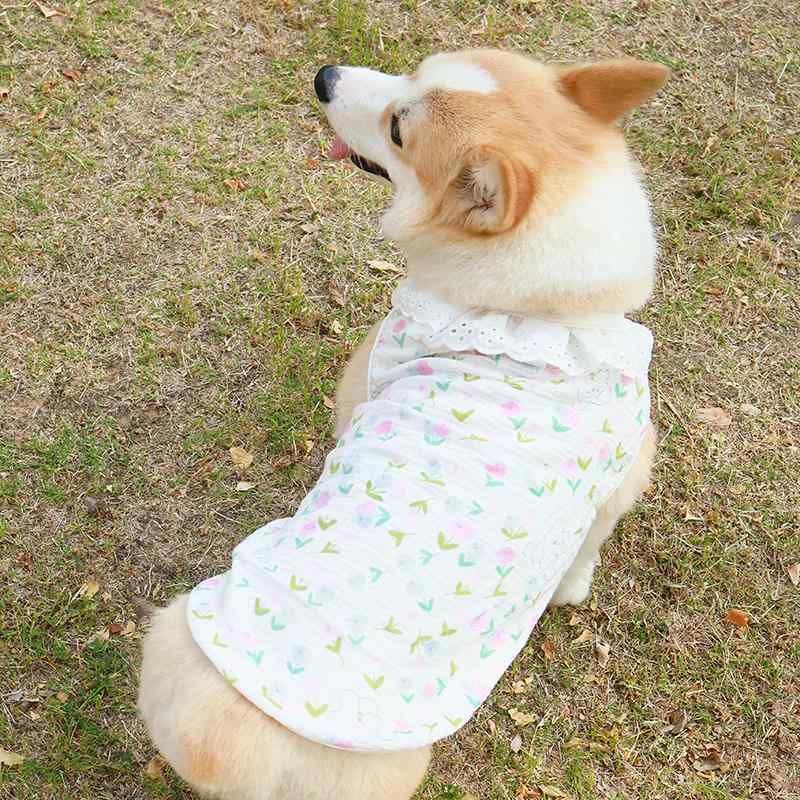 犬 服 女の子 かわいい コーギー ビションフリーゼ 春夏 薄手 通気性 フリル 抜け毛 日焼け防止 うさぎ..